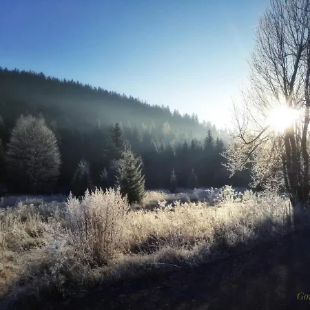 Zimski San Apartament *
