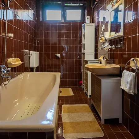 Zimski San Apartment Ravna Gora