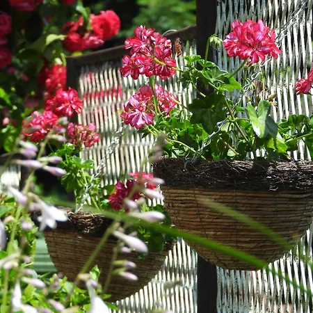 Zimski San Apartman Ravna Gora