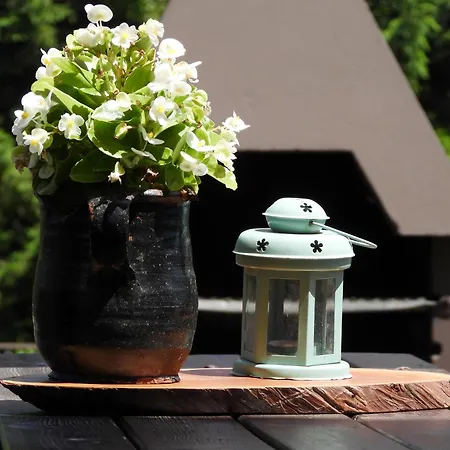 Apartament Zimski San