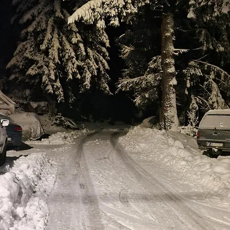 Zimski San Apartament