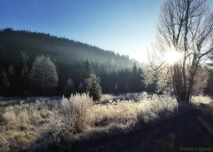 Zimski San Apartament *