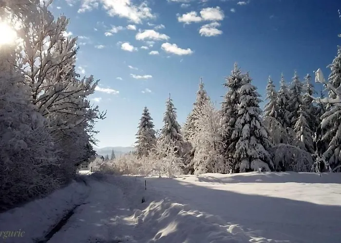 Zimski San Apartament Ravna Gora