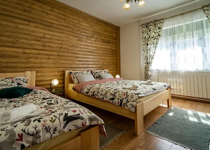 Zimski San Apartament Ravna Gora