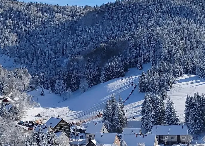 Apartament Zimski San Ravna Gora