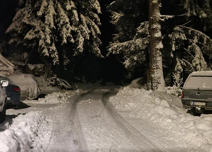 Zimski San Apartament