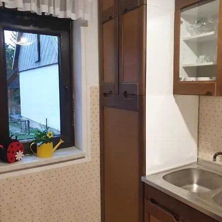 Zimski San * Ravna Gora