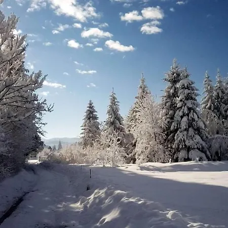 Zimski San Daire Ravna Gora