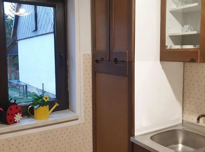 Zimski San * Ravna Gora