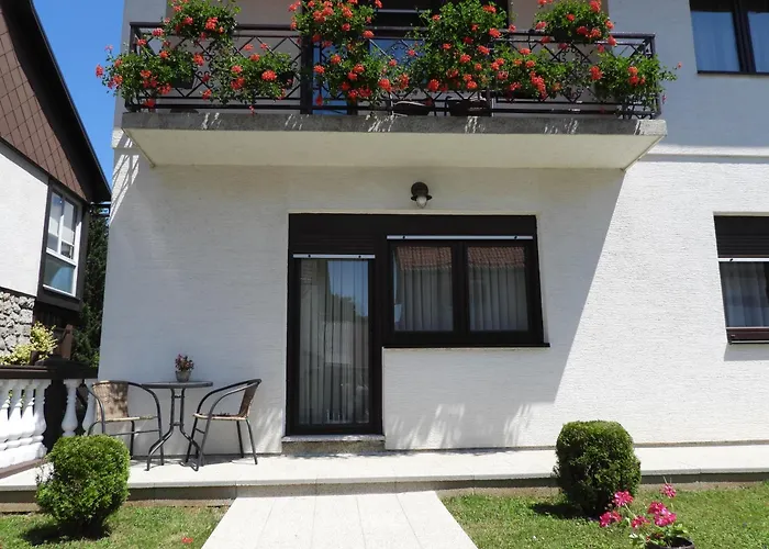 Zimski San Apartment