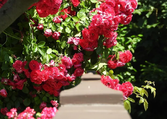 Zimski San Apartment