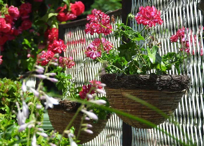 Zimski San Apartment Ravna Gora